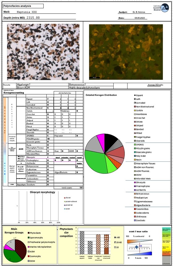 Palynofacies-interpretation-sheet