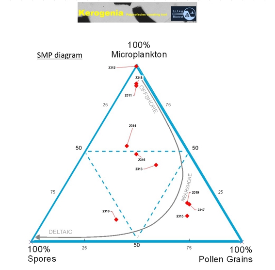 Ternary SMP-diagram
